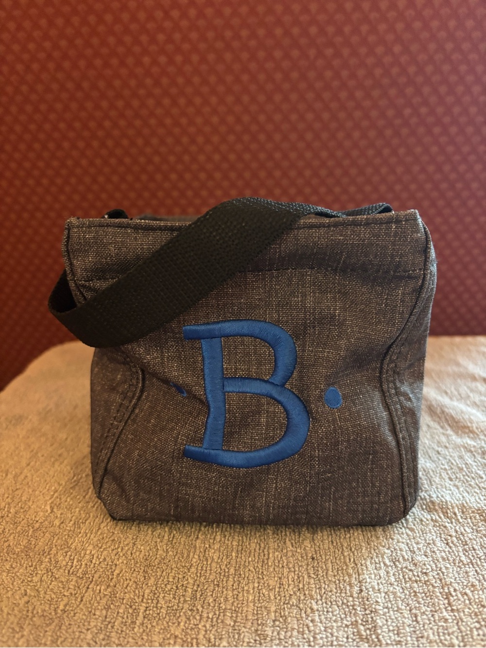 31 Mini Carry All